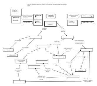 Immune System Concept Map Worksheet | Mind Map - EdrawMind