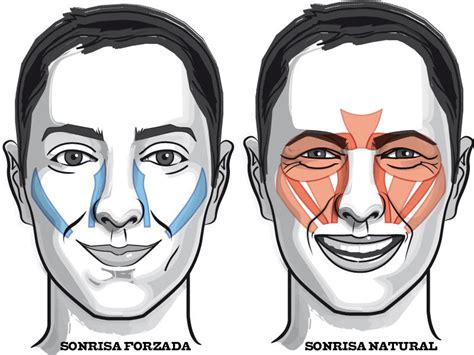 Portafolio Biopsicología de la emoción el estrés y la salud