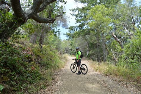 Mountain Biking Mt Tamalpais Muir Beach Mountaindiva