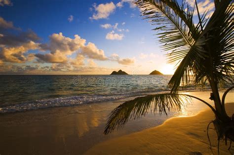 Sunrise at Lanikai Beach in Hawaii Stock Image - Image of tropics ...