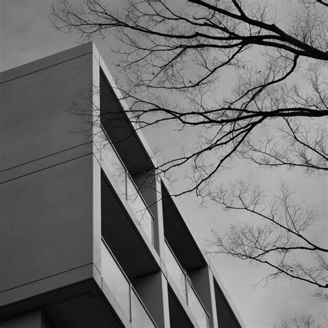 Premium Photo Low Angle View Of Bare Tree Against Sky