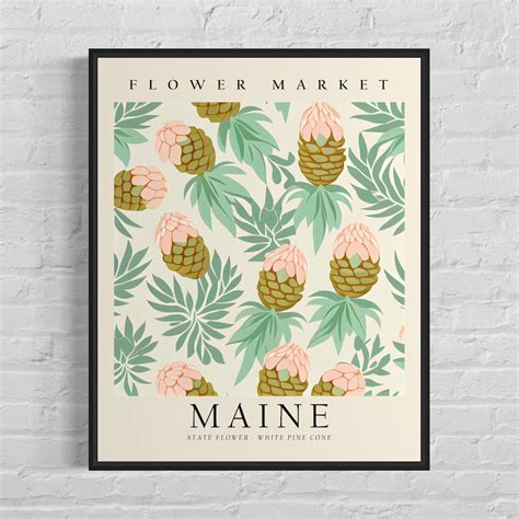 Maine State Flower, Maine Flower Market Art Print, White Pine Cone 1960 ...