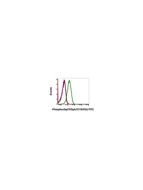 Phospho Zap Tyr Syk Tyr A Rabbit Mab Fitc Conjugate