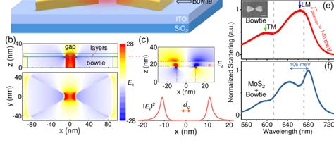 Tmds Excitons Gap Plasmons And Strong Coupling Between Them A Download Scientific Diagram