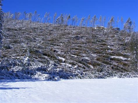 Free Images Landscape Tree Rock Snow Winter Mountain Range Ice