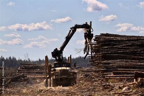 Forest Industry Operations For Loading Unloading Logging Truck At