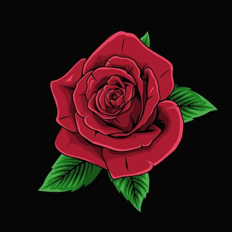 Ilustración de rosa roja sobre un fondo negro Vector Premium