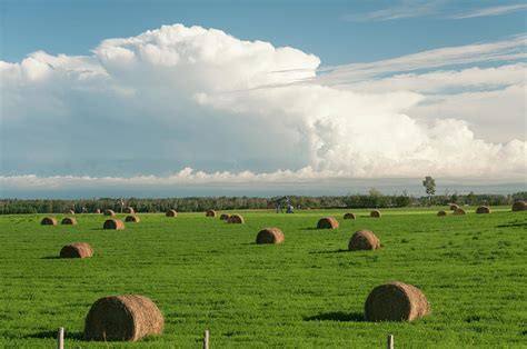 North Alberta Farmland With Hay Bales 1 By John Elk Iii