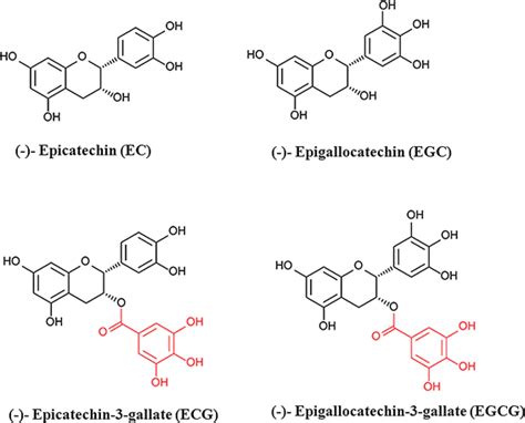 Chemical Structure Of Green Tea Catechins The Major Components Of