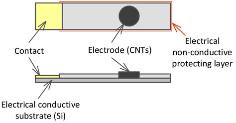 working electrode design  scientific diagram