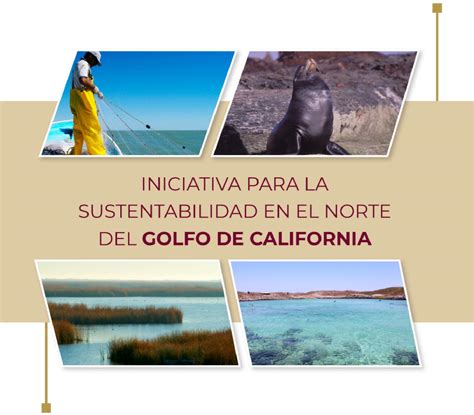 Iniciativa Para La Sustentabilidad En El Norte Del Golfo De California