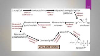 Lipid Metabolism Anabolism And Catabolism Ppt