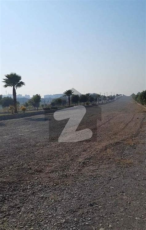 Investor Rate Kanal Developed Farmhouse Plot For Sale In Gulberg