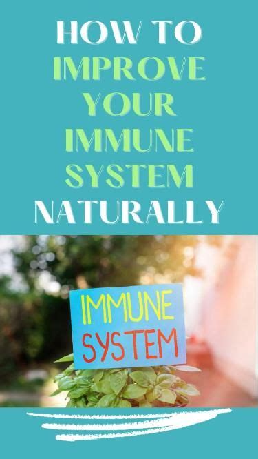 How To Improve Your Immune System Artofit