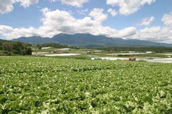 川上村の沿革川上村