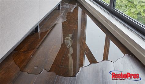 The Most Common Water Damage Causes And How To Prevent It This Winter