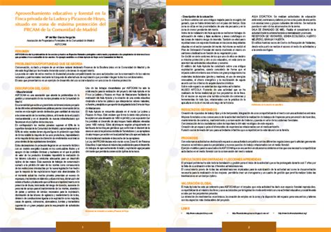 Aprovechamiento Educativo En La Ladera Ocio Educativo En La Naturaleza