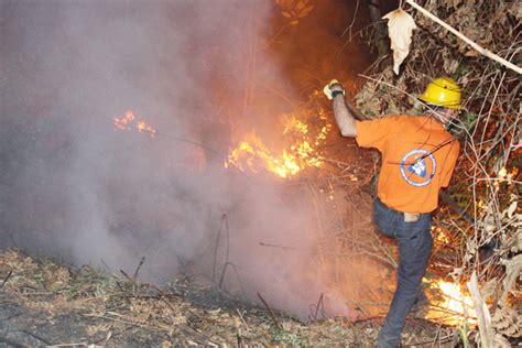 Incendio acabó con 10 hectáreas de área vegetal y afectó cultivo de pino