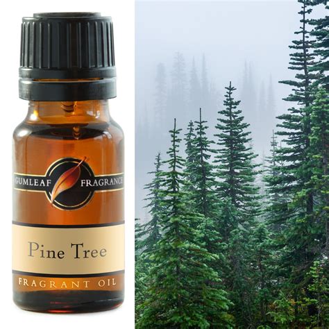 PINE TREE FRAGRANCE OIL | | Connection