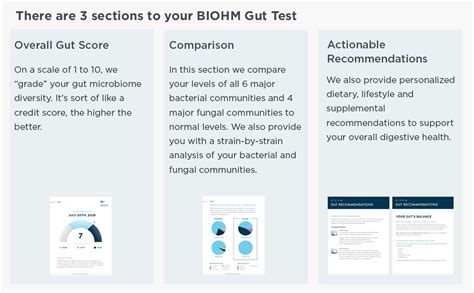 Biohm Gut Test Kit Gut Health And Digestive Health Bacteria Test With Easy To Read Results