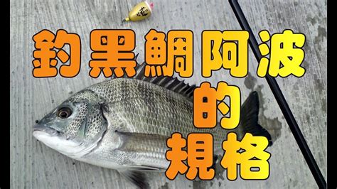 【磯釣】釣黑鯛如何選用阿波的規格 35集 【呈洋】黑鯛 Youtube