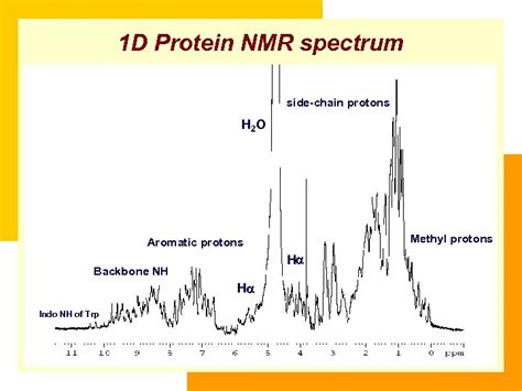 Protein Nmr Spectroscopy Yuan Chao Lou 羅元超 Institute Of