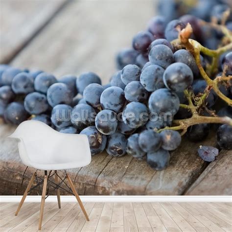 Wine Grapes Wallpaper Mural | Wallsauce UK