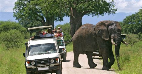 Nairobi Safari In Campeggio Di Giorni Nel Maasai Mara E Sul Lago