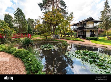 Japanese house and gardens, Fanhams Hall, Ware Stock Photo - Alamy