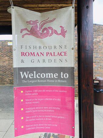 Fishbourne Roman Palace (Chichester) - 2019 All You Need to Know Before ...