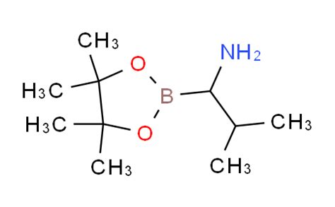 1 4 4 5 5 Tetramethyl 1 3 2 Dioxaborolan 2 Yl Propan 1 Amine CAS No