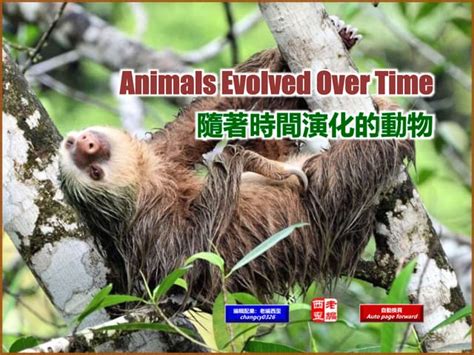 Animals Evolved Over Time (隨著時間演化的動物).ppsx