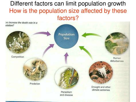 Ppt Aim How Do Abiotic Physical Limiting Factors Affect Growth And Survival In An Ecosystem