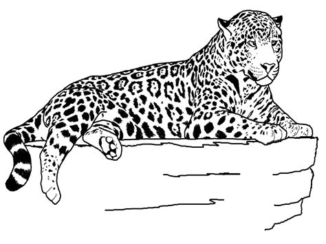 Jaguar Coloring Pages Printable