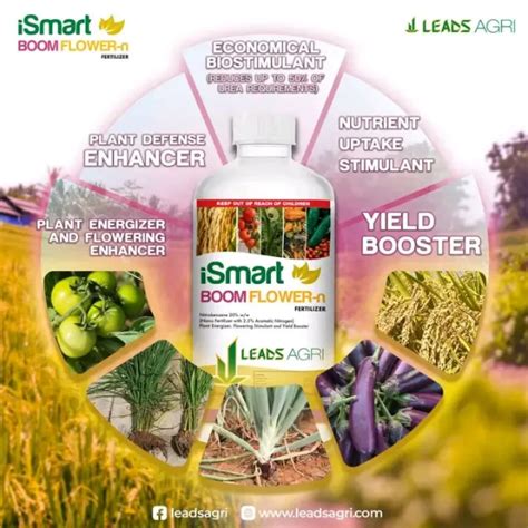 Immediate Shipping ISmart BOOM FLOWER Sold Per Liter And Per Bundle