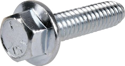 Plain Stainless Steel Hex Bolt M12 X 50mm Ubicaciondepersonascdmx