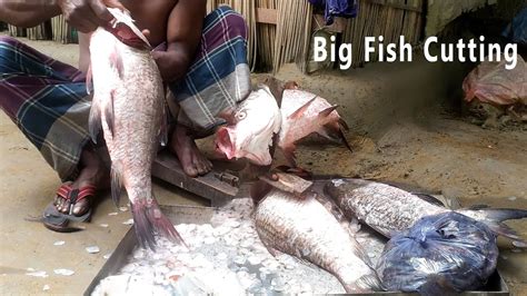 Amazing Big Giant Katla Fish Cutting By Fish Cutting Expert YouTube