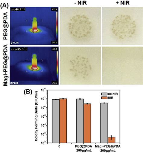 祝贺凡小利、李熇阳同学在colloids And Surfaces B Biointerfaces上发表论文 课题组新闻 生物医用