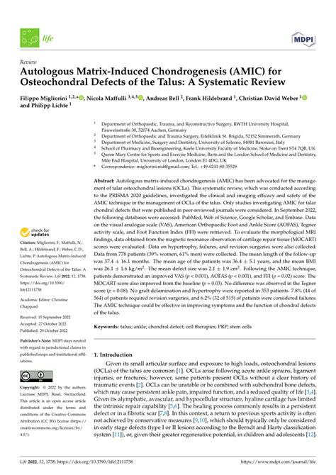 PDF Autologous Matrix Induced Chondrogenesis AMIC For Osteochondral