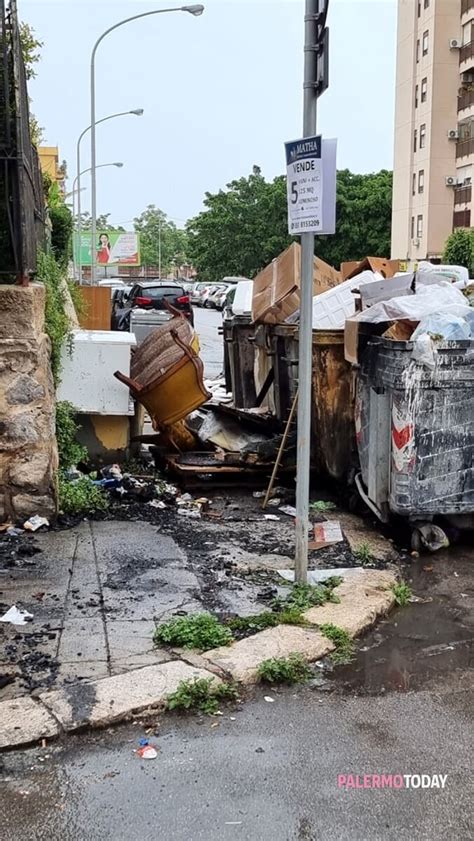 Condizioni Igieniche Precarie In Via Brancato Discarica Con Topi