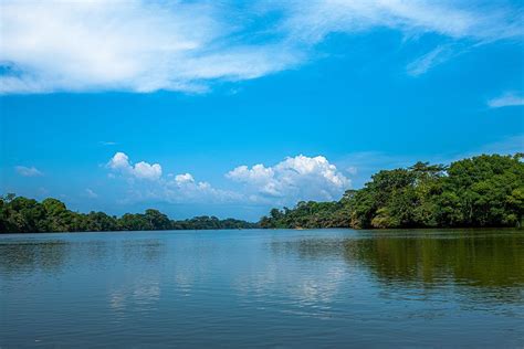 Where To Go Tiwai Island Wildlife Sanctuary Sierra Leone Tourism