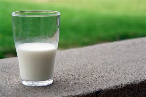 10 Best Organic Milk Brands in India, At Your Doorstep