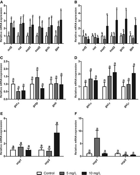 Gene Expression In Zebrafish Liver After 24 And 96 H Of Roundup