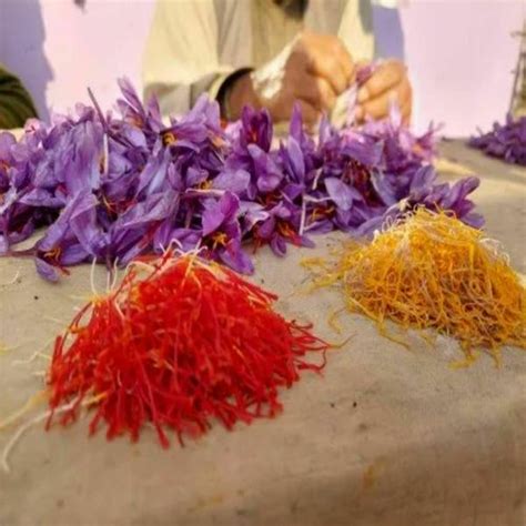 Premium Super Negin Saffron Jiomart