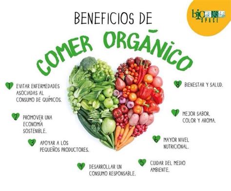 Qu Beneficios Produce La Alimentaci N Org Nica Cuidandose