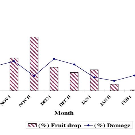 Fruits Drop Vs Stone Weevil Incidence On Ber Gola Download