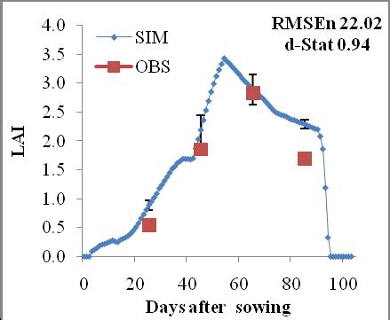 Observed Obs And Simulated Sim Time Series Leaf Area Index And Leaf