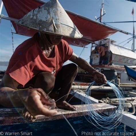 east indonesian handline yellowfin tuna sourcing transparency platform