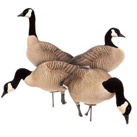 Maximas Full Body 4 Pack Dave Smith Decoys