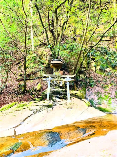 龍鎮神社から大神神社へ 白蛇様の導き 金龍・幸福への道しるべ・